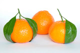 Mandarin Orange