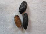 Tonka Bean